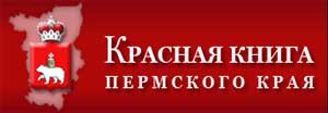 Решение задач краеведческой направленности через реализацию проекта «Красная книга Пермского края»