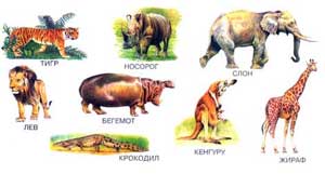 Логоритмика - Животные жарких стран