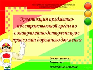 Проект Организация предметно-пространственной среды по ознакомлению дошкольников с правилами дорожного движения