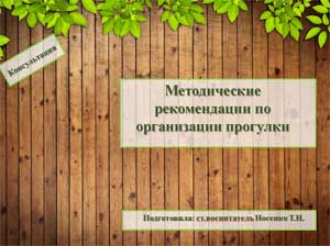 Методические рекомендации по организации прогулки