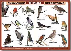 Занятие по разделу «Социализация и формирование мировоззрения