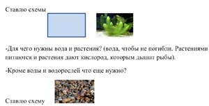 Исследовательский проект в средней группе «Дом для рыб» 