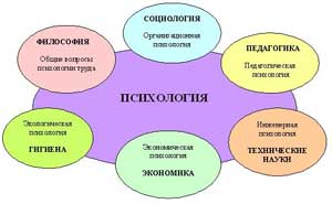 Связь психологии с другими научными дисциплинами