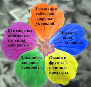 ООД по здоровьесбережению в старшей группе «Волшебный цветок здоровья»