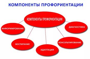 Из опыта работы по ранней профориентации в ДОУ