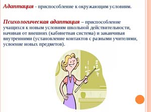 РАБОЧАЯ ПРОГРАММА «Психологическое сопровождение процесса адаптации детей раннего возраста к условиям ДОУ»