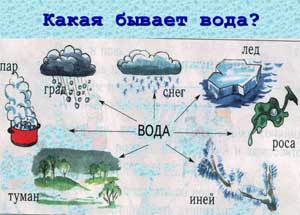 Конспект занятия для второй младшей группы «Свойства воды»