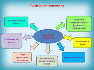 ОБРАЗОВАТЕЛЬНЫЙ ТЕРРЕНКУР «КРАСАВИЦА СОСНА»