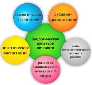 Комплексное использование разнообразных средств и методов эстетического воспитания в системе дошкольной образовательной организации